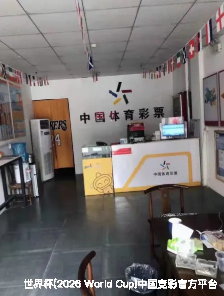 未来愿景与发展方向